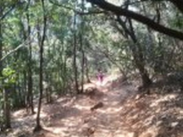 Agriturismo lOliveto - foto 43487.jpg