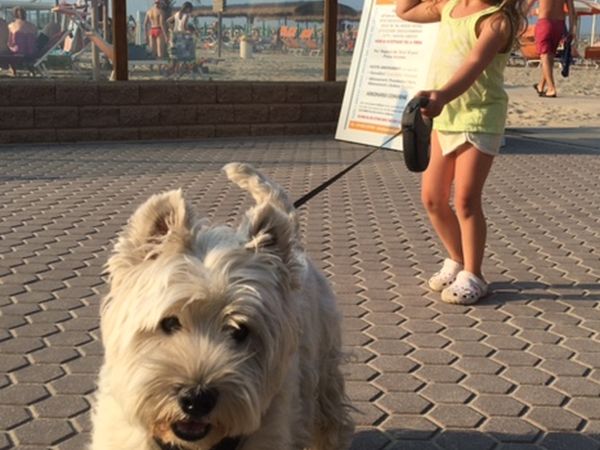 Maremoto Beach - Villaggio Bagni 14 e 15  - foto 43511.jpg