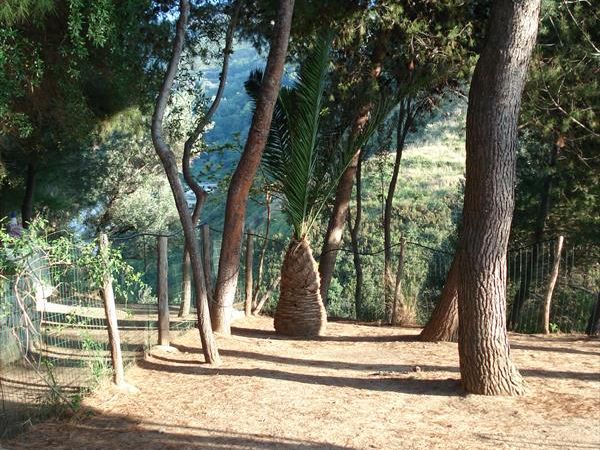 Casale di Tocco - foto 43525.jpg