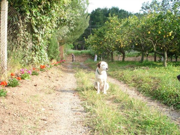 Casale di Tocco - foto 43527.jpg