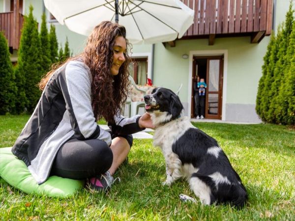 Rosa delle Dolomiti - foto 43589.jpg
