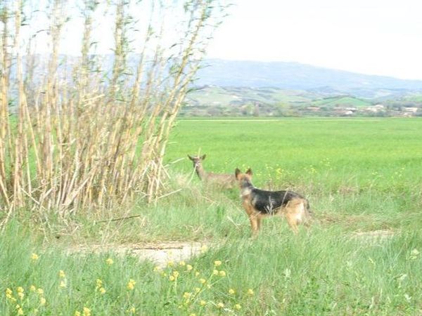 Agriturismo Pratone - foto 43626.jpg