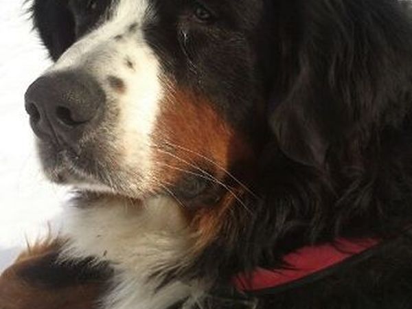 Villaggio la Siesta - foto 43644.jpg