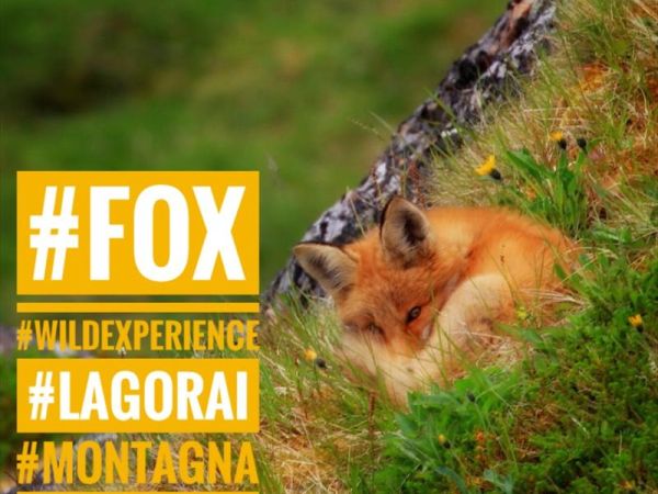 Rifugio Serot - foto 43745.jpg