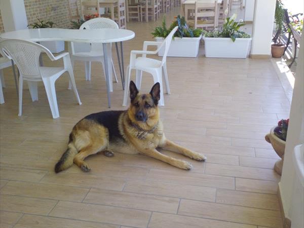 Camping Tre Archi - foto 43750.jpg