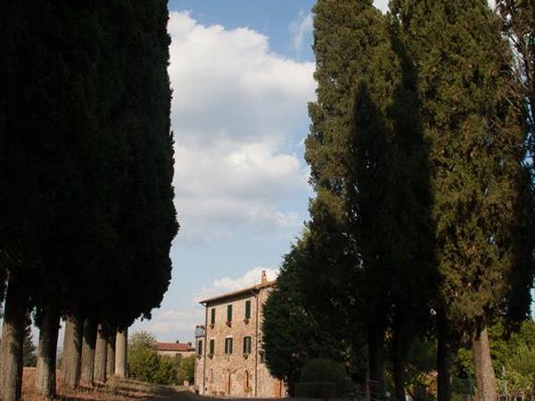 Az. Agr. Spazzavento - foto 43761.jpg