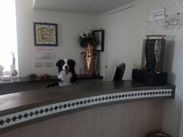 Hotel Brienz - foto 43837.jpg