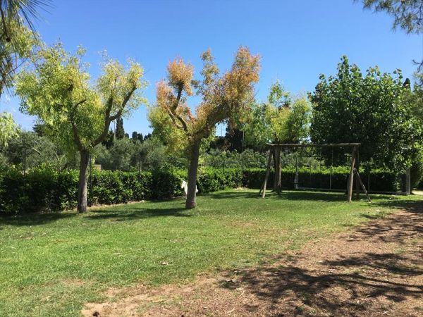 Agriturismo Il Piccolo Lago - foto 43864.jpg