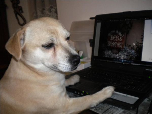 Bed and Breakfast Antico Borgo - foto 43870.jpg