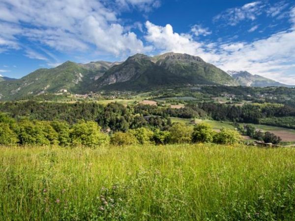 Vital Hotel Flora - foto 43916.jpg