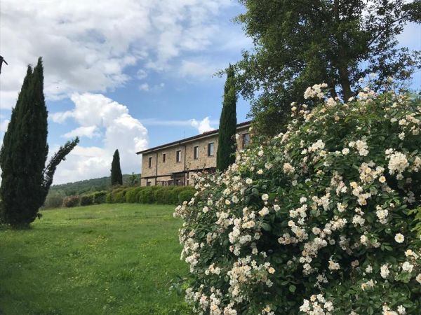 Agriturismo San Ottaviano - foto 44068.jpg