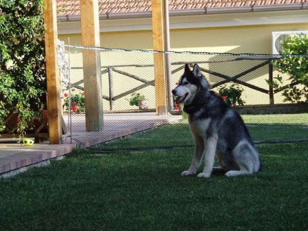 Agriturismo Barna - foto 44135.jpg