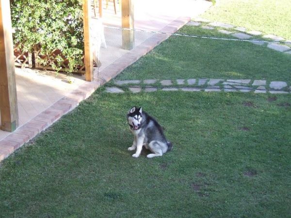 Agriturismo Barna - foto 44136.jpg