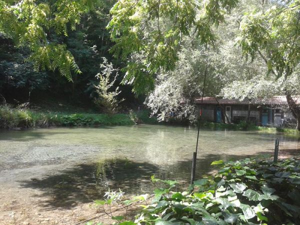 Ristorante Tipico Golden Park Ranch Orsomarso - foto 44145.jpg