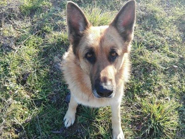 Az. Agricola Torre Bianca - foto 44162.jpg