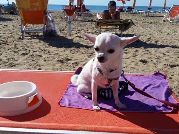 Astoria Beach - foto 44173.jpg