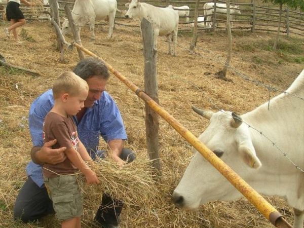 Agriturismo Borgo Spante - foto 44182.jpg