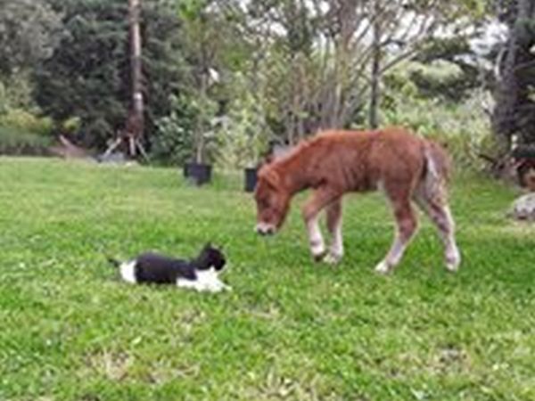 Agriturismo C dArgella - foto 44209.jpg