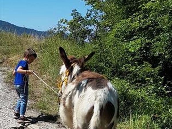 Agriturismo la Casaccia - foto 44212.jpg
