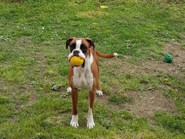 Agriturismo la Casaccia - foto 44214.jpg