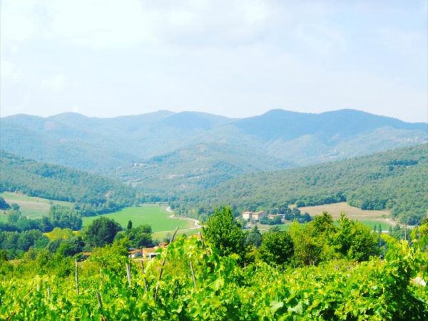 Agriturismo la Casaccia - foto 44219.jpg