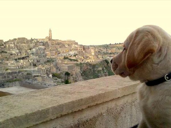 Hotel Il belvedere - foto 44246.jpg