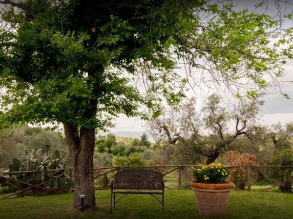 Agriturismo Saragiolo - foto 44352.jpg