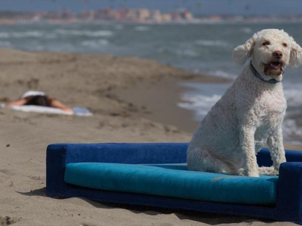 Le Marze - foto 44370.jpg