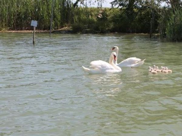 Casone Maranghetto - foto 44490.jpg