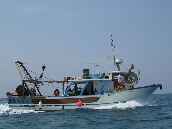 Hotel Il Ponte - foto 2301.jpg