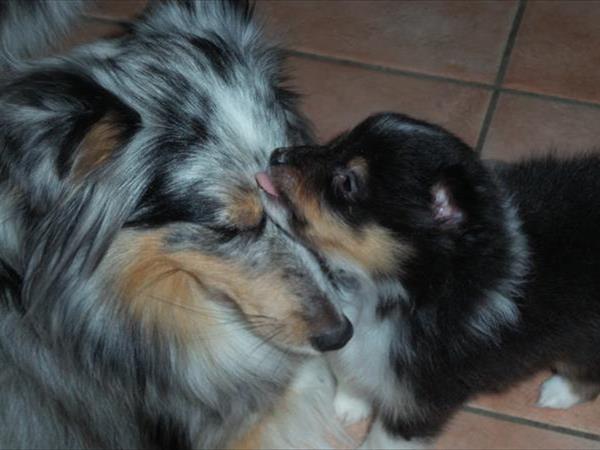 Azienda Agrituristica Leonardelli - foto 44739.jpg