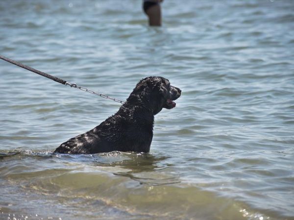 Centro Vacanze Villaggio San Francesco - foto 44815.jpg