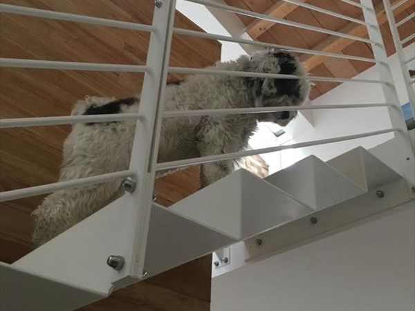 Villa Renzo e Villa Milli - foto 44849.jpg