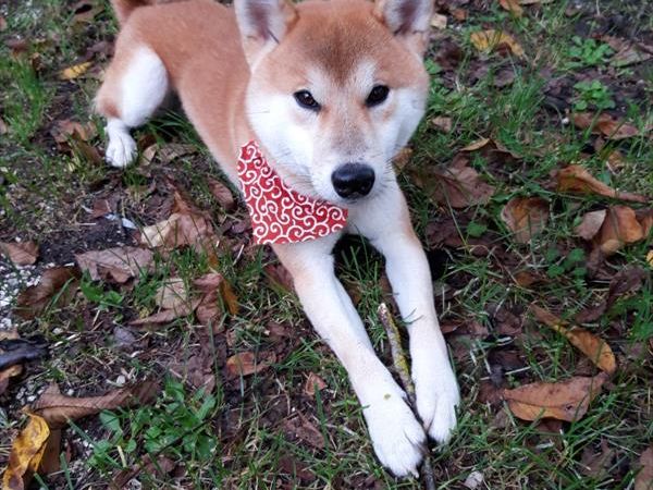 Agriturismo Domus Santa Croce - foto 44858.jpg