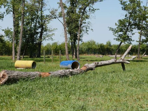 Belvedere Pineta Camping Village  - foto 44872.jpg