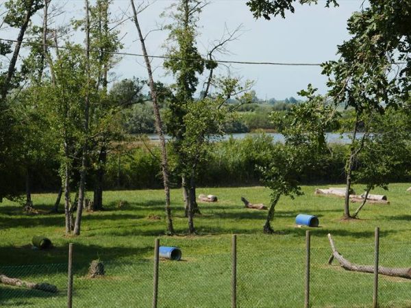 Belvedere Pineta Camping Village  - foto 44877.jpg