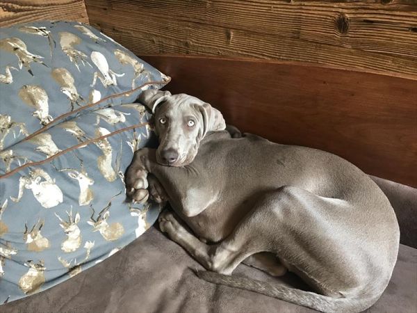 Chalet Baita nel bosco Ledro - foto 44911.jpg