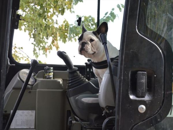 Camping Village Europa Silvella - foto 44961.jpg