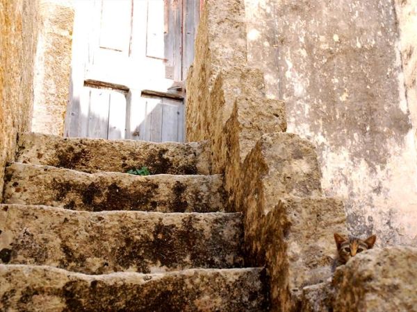 Dimora Nel Salento - foto 44989.jpg