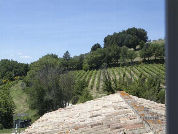 Re Art country lifestyle - foto 45039.jpg