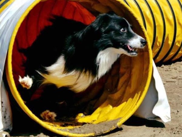 Villaggio Mare Verde - foto 45116.jpg