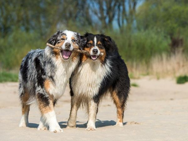 Villaggio Mare Verde - foto 45127.jpg