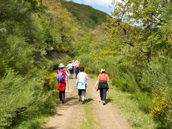 Villaggio Mare Verde - foto 45135.jpg