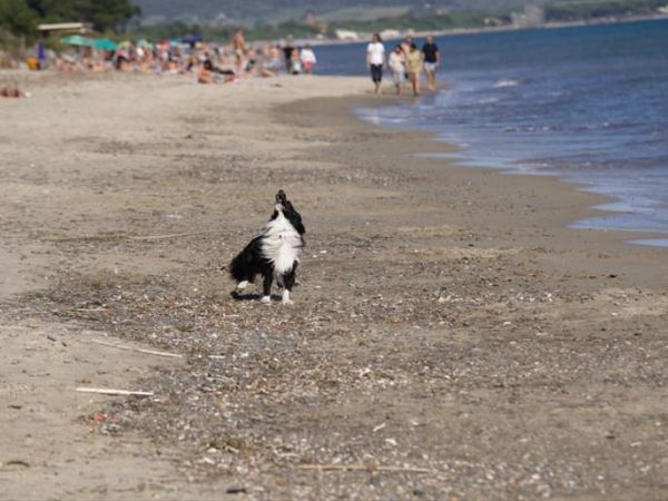 Villaggio Mare Verde - foto 45141.jpg