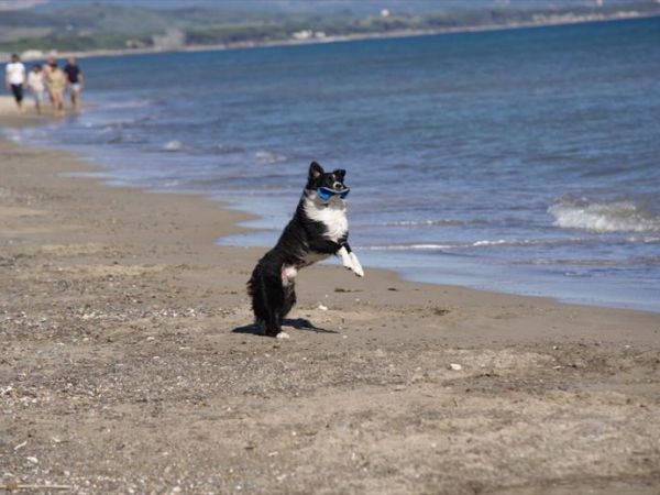 Villaggio Mare Verde - foto 45142.jpg