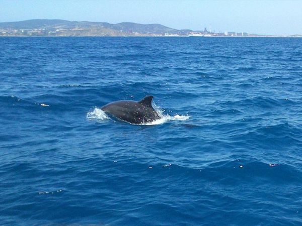 Villaggio Mare Verde - foto 45145.jpg