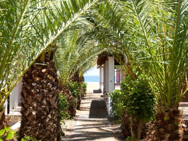 Simenzaru Wild Village - foto 45287.jpg