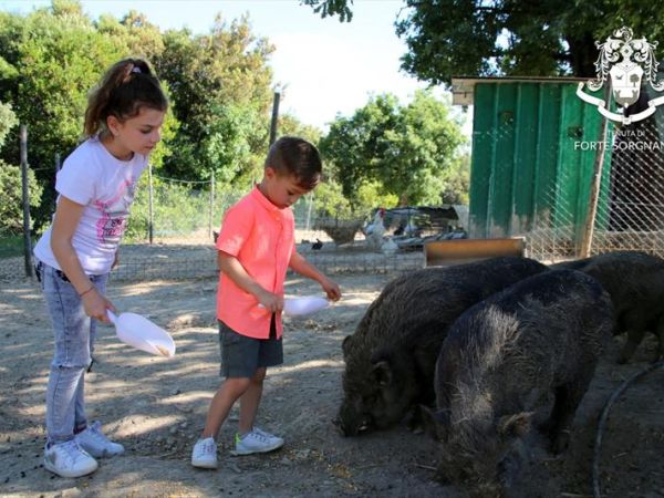 Tenuta Forte Sorgnano - foto 45351.jpg