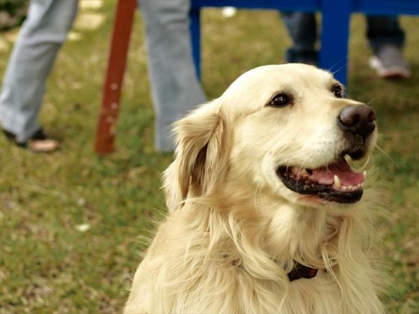 Giardino dei Suoni B&B - foto 45390.jpg