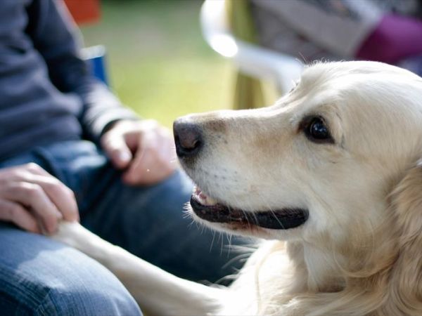 Giardino dei Suoni B&B - foto 45391.jpg